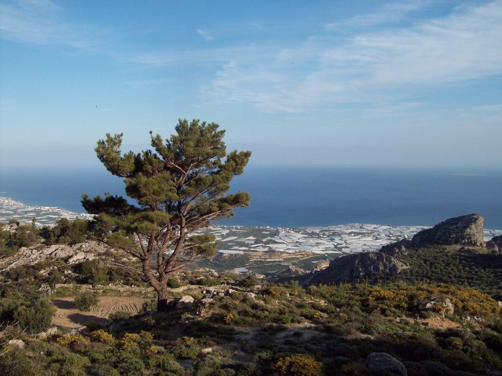 Δίκτυννα Aparthotel Ανατολή Εξωτερικό φωτογραφία
